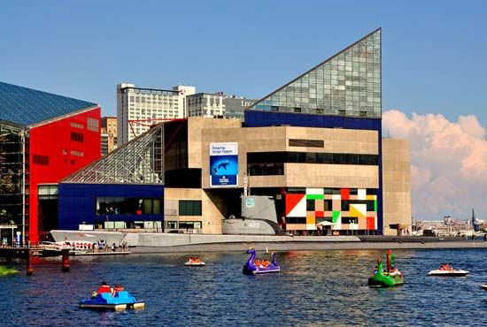 Baltimore: National Aquarium
