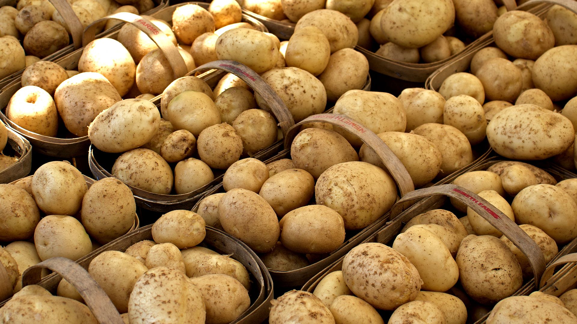potato