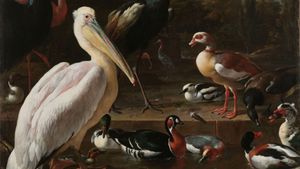 Why is the 20th Amendment called the Lame Duck Amendment?
