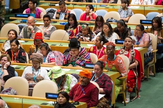 United Nations Permanent Forum on Indigenous Issues