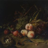 Rachel Ruysch: Fruit and Insects