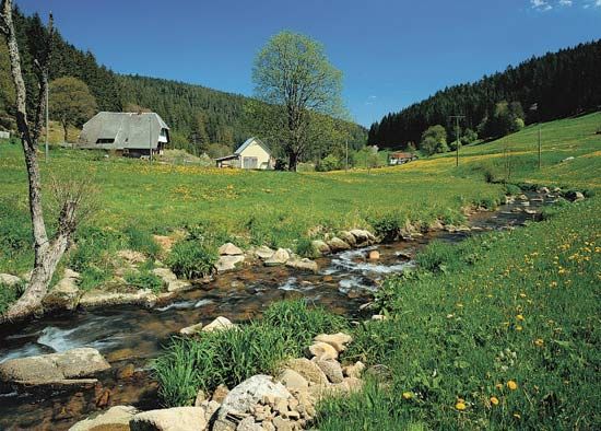 Germany: Black Forest