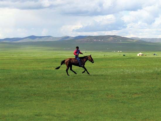 grasslands
