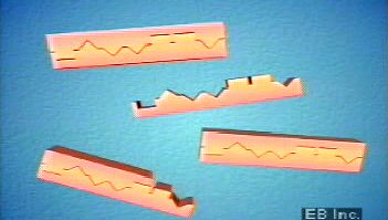 Learn how DNA thermal cycler employs polymerase chain reaction to copy DNA strands