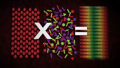 What is the field of immunogenomics?