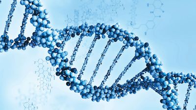 DNA strand illustration art, double helix, deoxyribonucleic acid, genetics