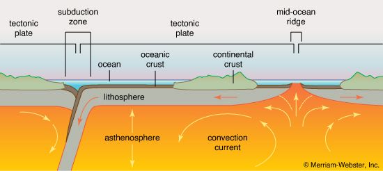plate tectonics