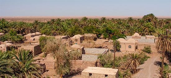 oasis: Iran