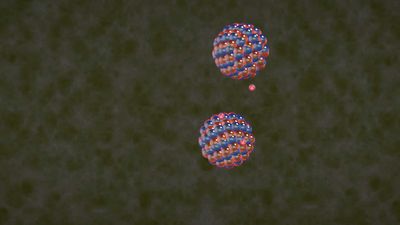 What is the difference between nuclear fission and fusion?