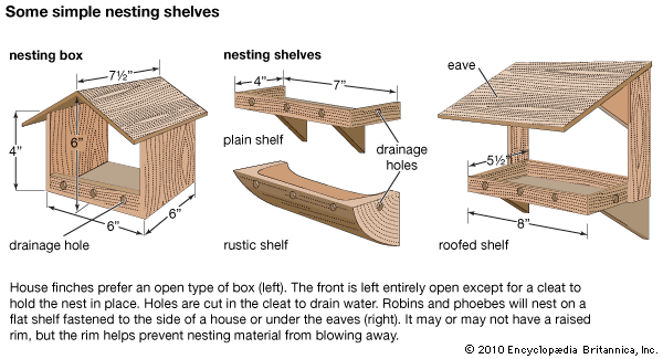 birdhouse