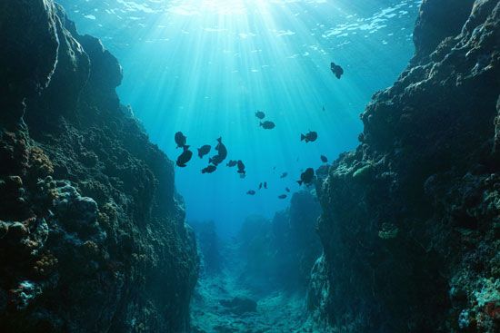 Underwater canyon