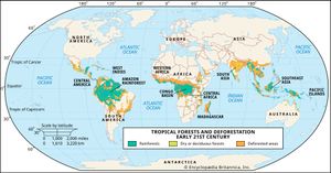 tropical forests and deforestation