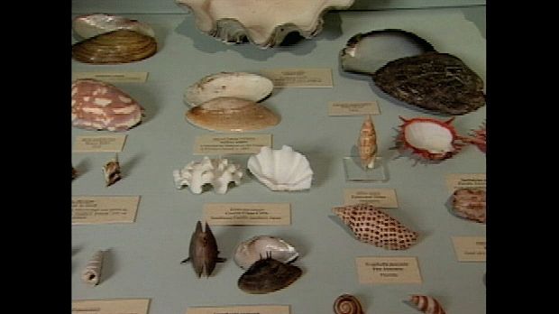 Charleston Museum