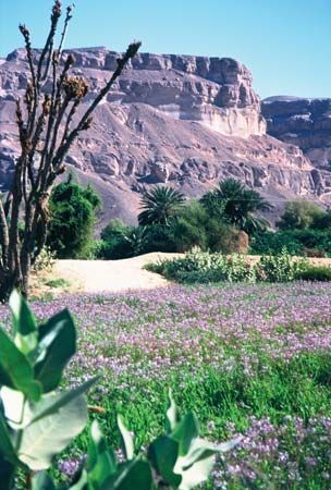 Hadhramaut