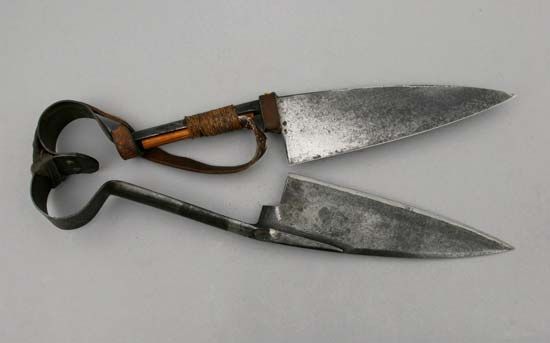 sheep shears