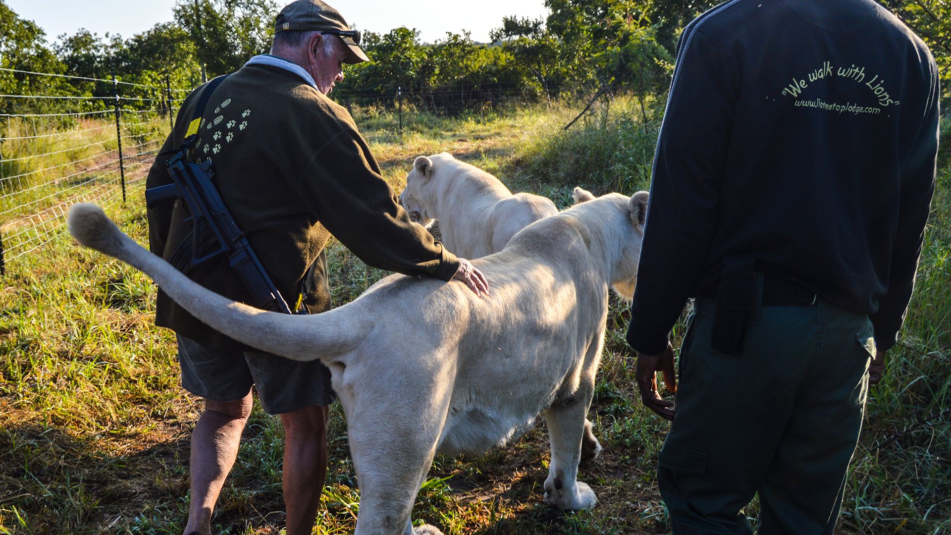 Kruger National Park: ranger training