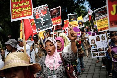 World Trade Organization protest