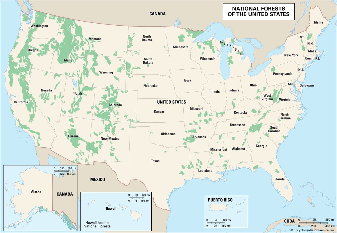 United States national forests